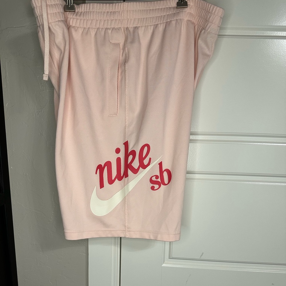 Nike Sb dri-fit shorts